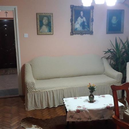 Cozy, Central 1-Bedroom Apartment In Timisoara, Romania Dış mekan fotoğraf