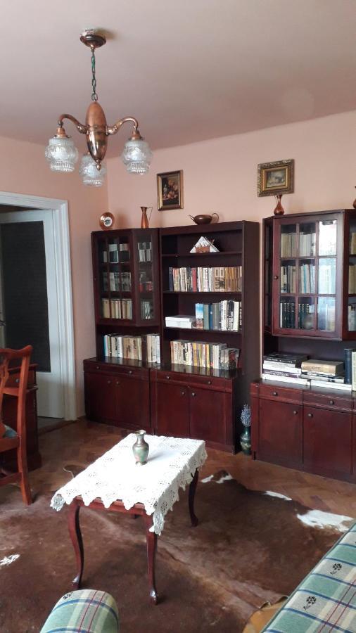 Cozy, Central 1-Bedroom Apartment In Timisoara, Romania Dış mekan fotoğraf