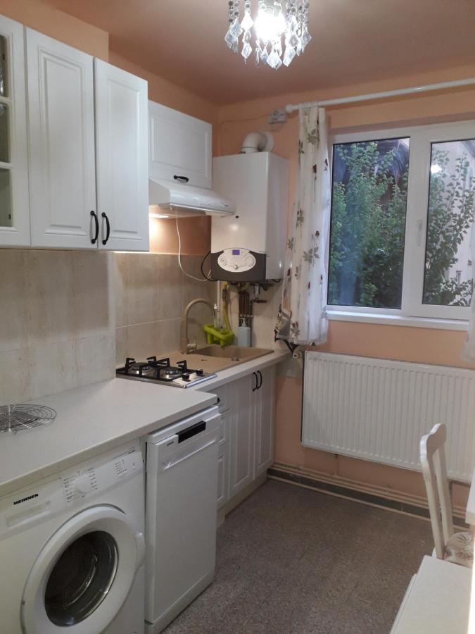 Cozy, Central 1-Bedroom Apartment In Timisoara, Romania Dış mekan fotoğraf
