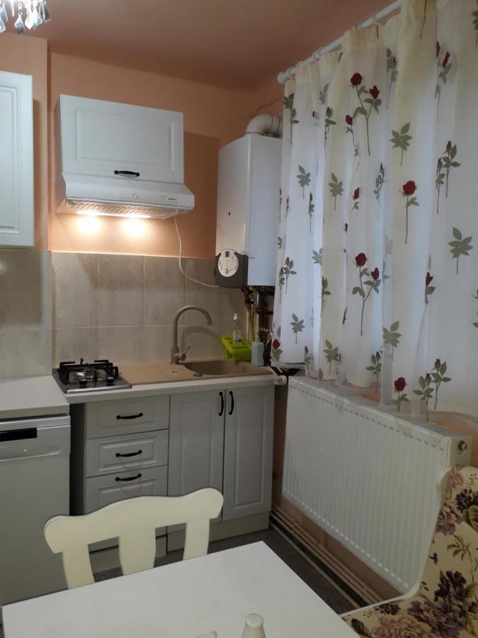 Cozy, Central 1-Bedroom Apartment In Timisoara, Romania Dış mekan fotoğraf