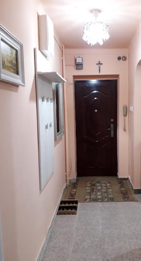 Cozy, Central 1-Bedroom Apartment In Timisoara, Romania Dış mekan fotoğraf